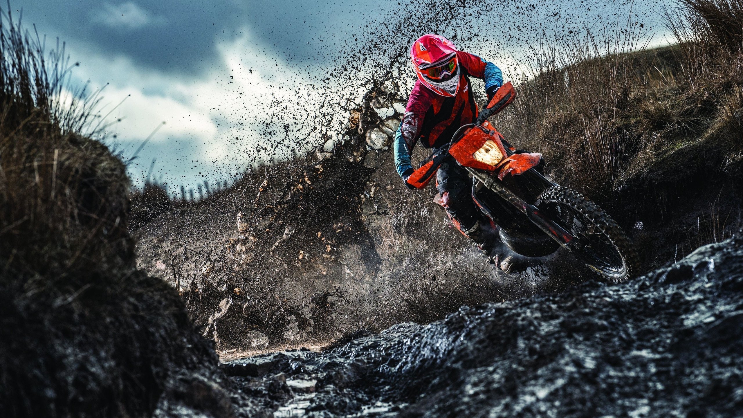 葡萄牙骑手吉尔贝托·费利佩在2024年全国工作马术锦标赛中以“Morante”马匹获得大师组铜牌,表现出色。